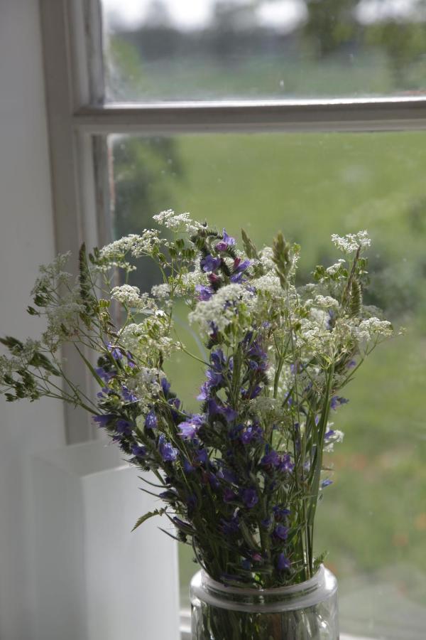 Stora Mellings Gard Bed & Breakfast Klintehamn Dış mekan fotoğraf